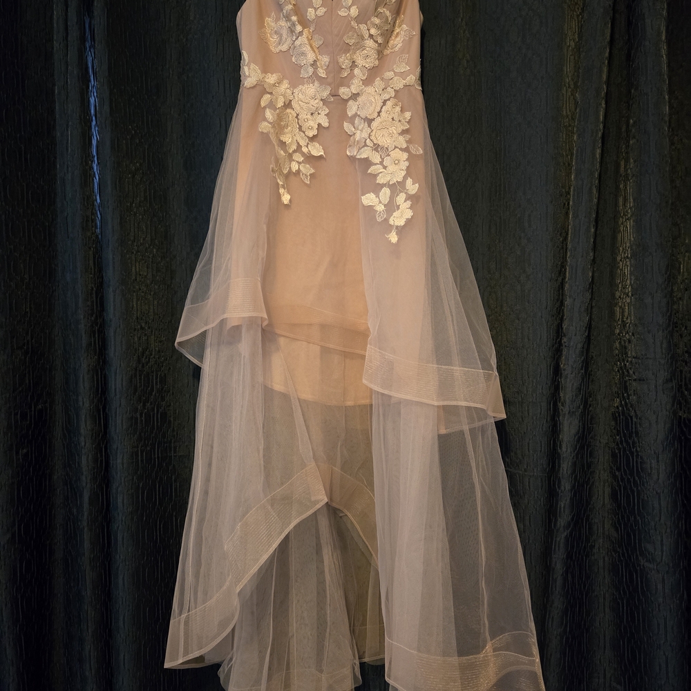 BCBGMaxAzria Ivory Lace High Low Dress
